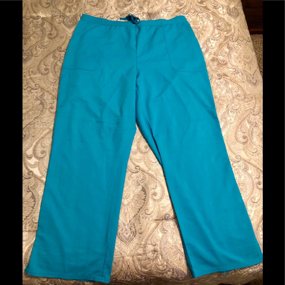 Healing Hands Purple Label scrub pant. 2x
